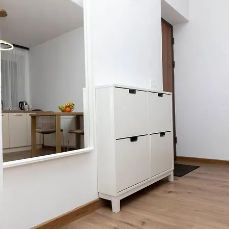 Enescu 3 Center Flat Apartament *