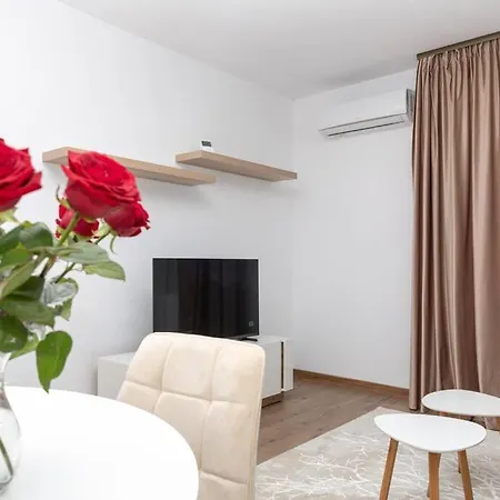 Apartament Enescu 3 Center Flat *