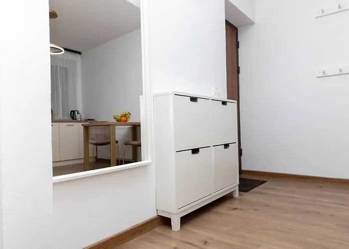 Enescu 3 Center Flat Apartament *