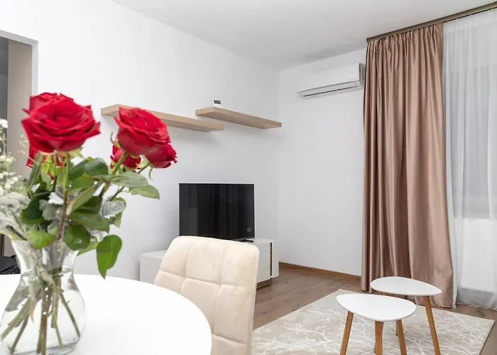 Apartament Enescu 3 Center Flat *